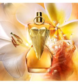 Gaultier Divine - The Perfume Gaultier Divine - The Perfume